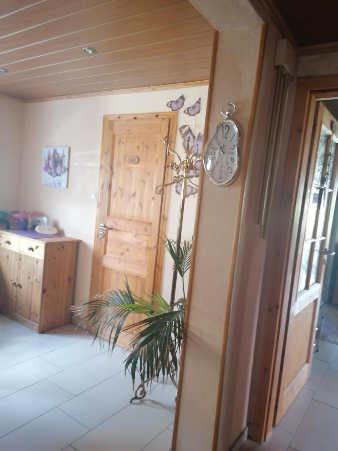 Ferienwohnung Mau Pirmasens Dış mekan fotoğraf